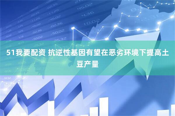 51我要配资 抗逆性基因有望在恶劣环境下提高土豆产量