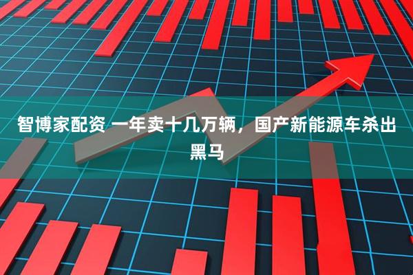智博家配资 一年卖十几万辆，国产新能源车杀出黑马