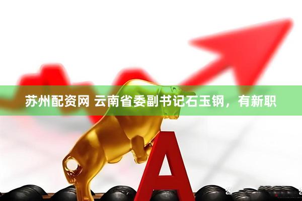 苏州配资网 云南省委副书记石玉钢，有新职