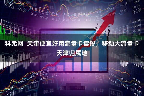 科元网  天津便宜好用流量卡套餐，移动大流量卡天津归属地