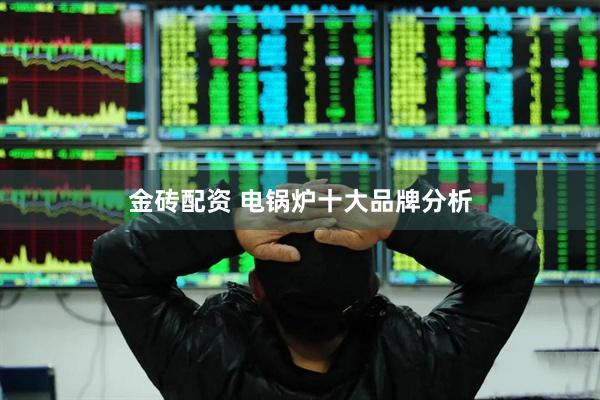 金砖配资 电锅炉十大品牌分析